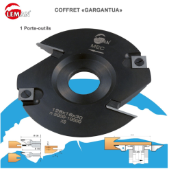 LEMAN - COFFRET 3 P.O. AL.30 ET ACCESSOIRES / PROFIL C.P. TENON / POUR COMBINE -Outils Maison Magasin LEMAN COFFRET 3 P O AL 30 ET ACCESSOIRES PROFIL C P TENO 3