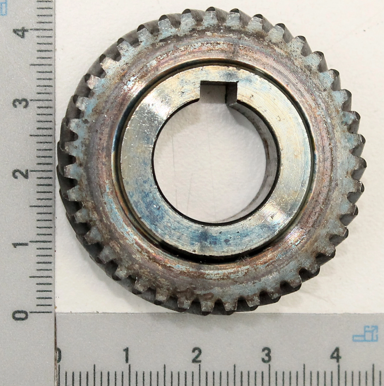 SCHEPPACH - Pignon Pour Scie à Onglet Radiale HM216 Et HM81LXU 3 SCHEPPACH - Pignon Pour Scie à Onglet Radiale HM216 Et HM81LXU